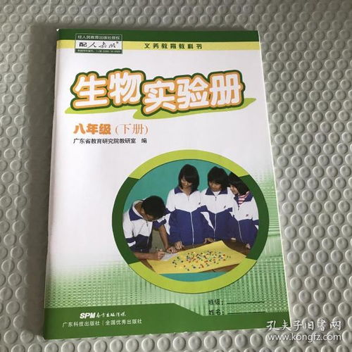 圖書(shū)購(gòu)買(mǎi)與廣告設(shè)計(jì) 探索多多圖書(shū)旗艦店與孔夫子舊書(shū)網(wǎng)的魅力
