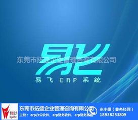 訂單管理與ERP系統(tǒng)集成 拓盛企業(yè)管理咨詢助力企業(yè)高效運(yùn)營(yíng)